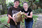Бали: в парке рептилий